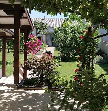 Ferienwohnung Maks Und Kris Sankt Andrä bei Frauenkirchen Екстериор снимка