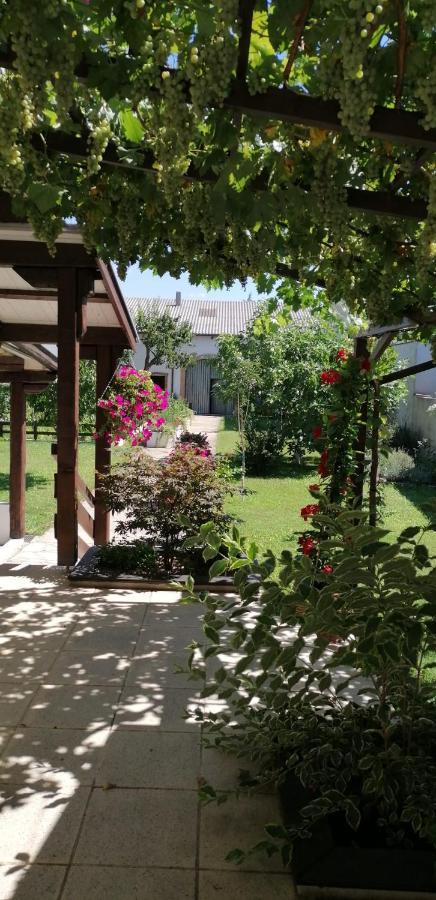 Ferienwohnung Maks Und Kris Sankt Andrä bei Frauenkirchen Екстериор снимка